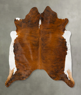 Medium Brindle X-Large Brazilian Cowhide Rug 6'11"H x 7'1"W #B25660 by Hudson Hides