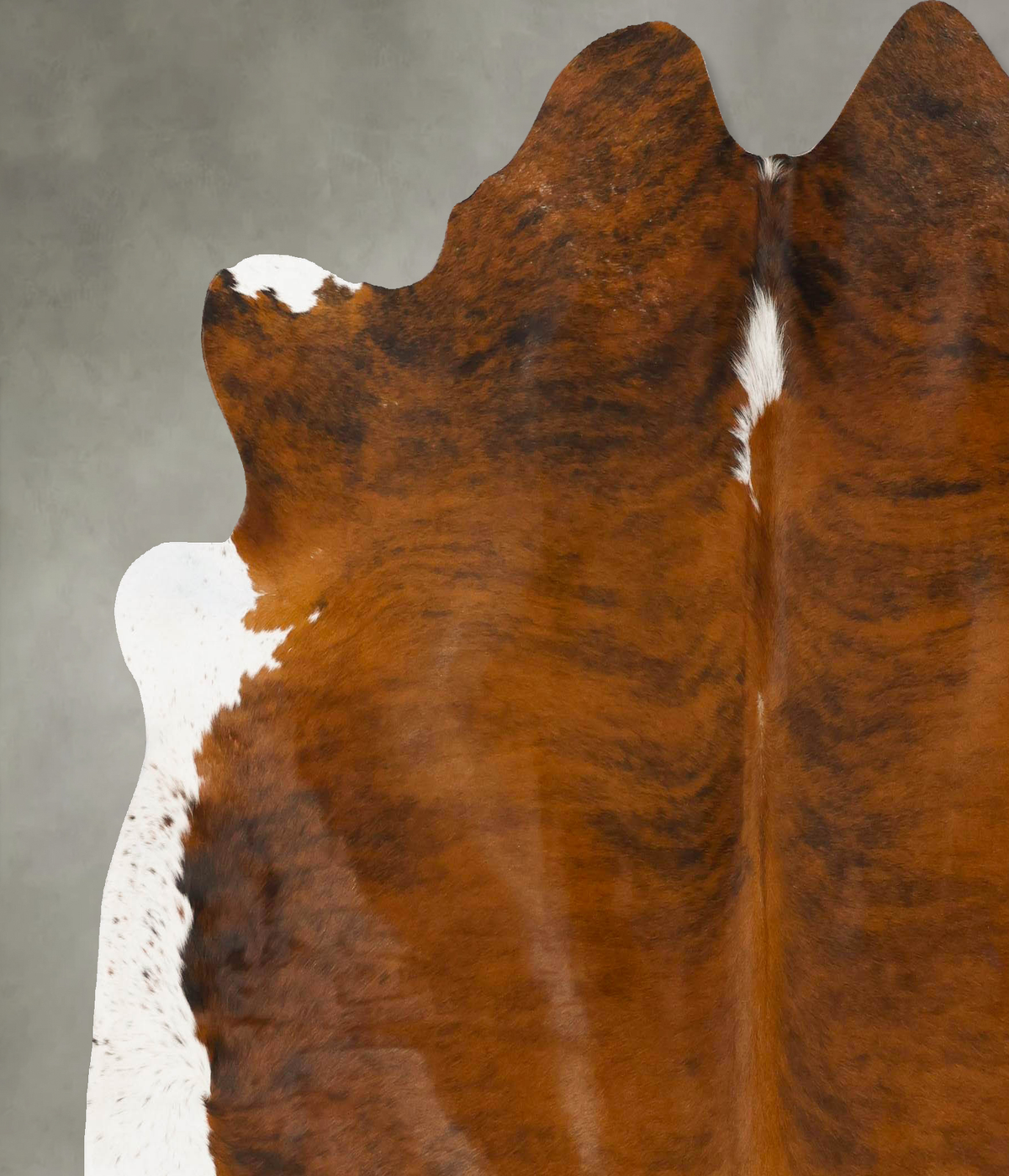 Medium Brindle X-Large Brazilian Cowhide Rug 6'11"H x 7'1"W #B25660 by Hudson Hides