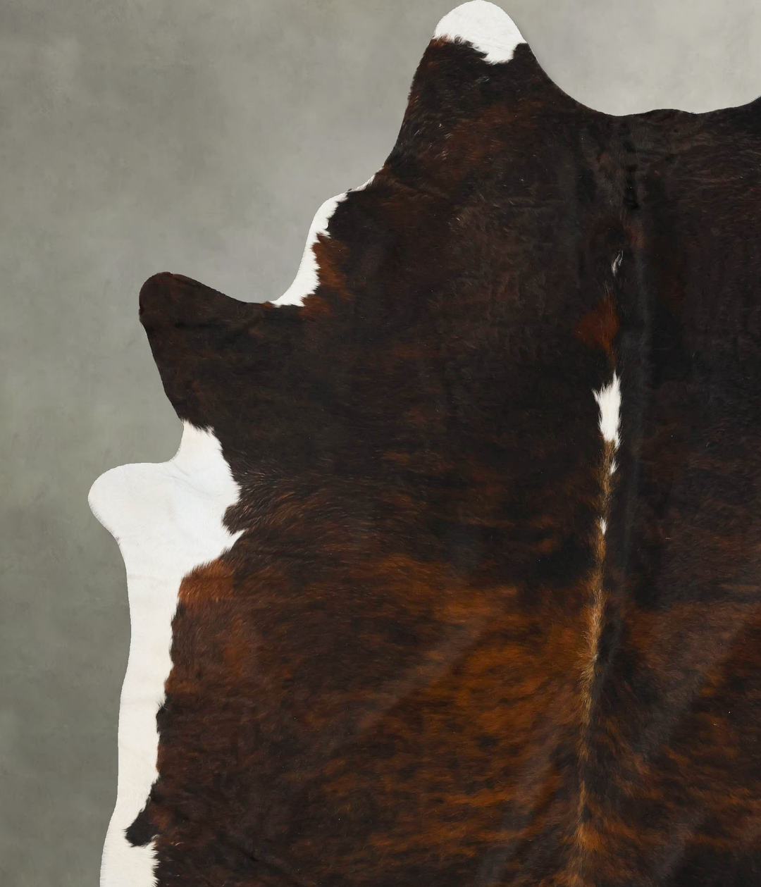 Dark Brindle XX-Large Brazilian Cowhide Rug 8'10"H x 7'3"W #B25671 by 