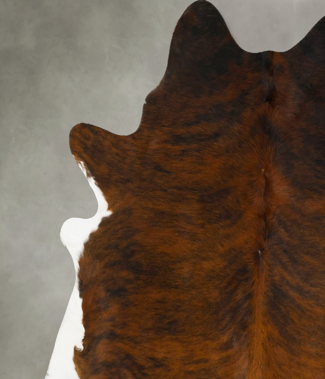 Dark Brindle XX-Large Brazilian Cowhide Rug 8'1"H x 6'10"W #B25685 by 