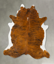 Medium Brindle XX-Large Brazilian Cowhide Rug 7'8"H x 6'9"W #B25690 by Hudson Hides