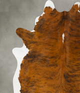 Medium Brindle XX-Large Brazilian Cowhide Rug 7'8"H x 6'9"W #B25690 by Hudson Hides