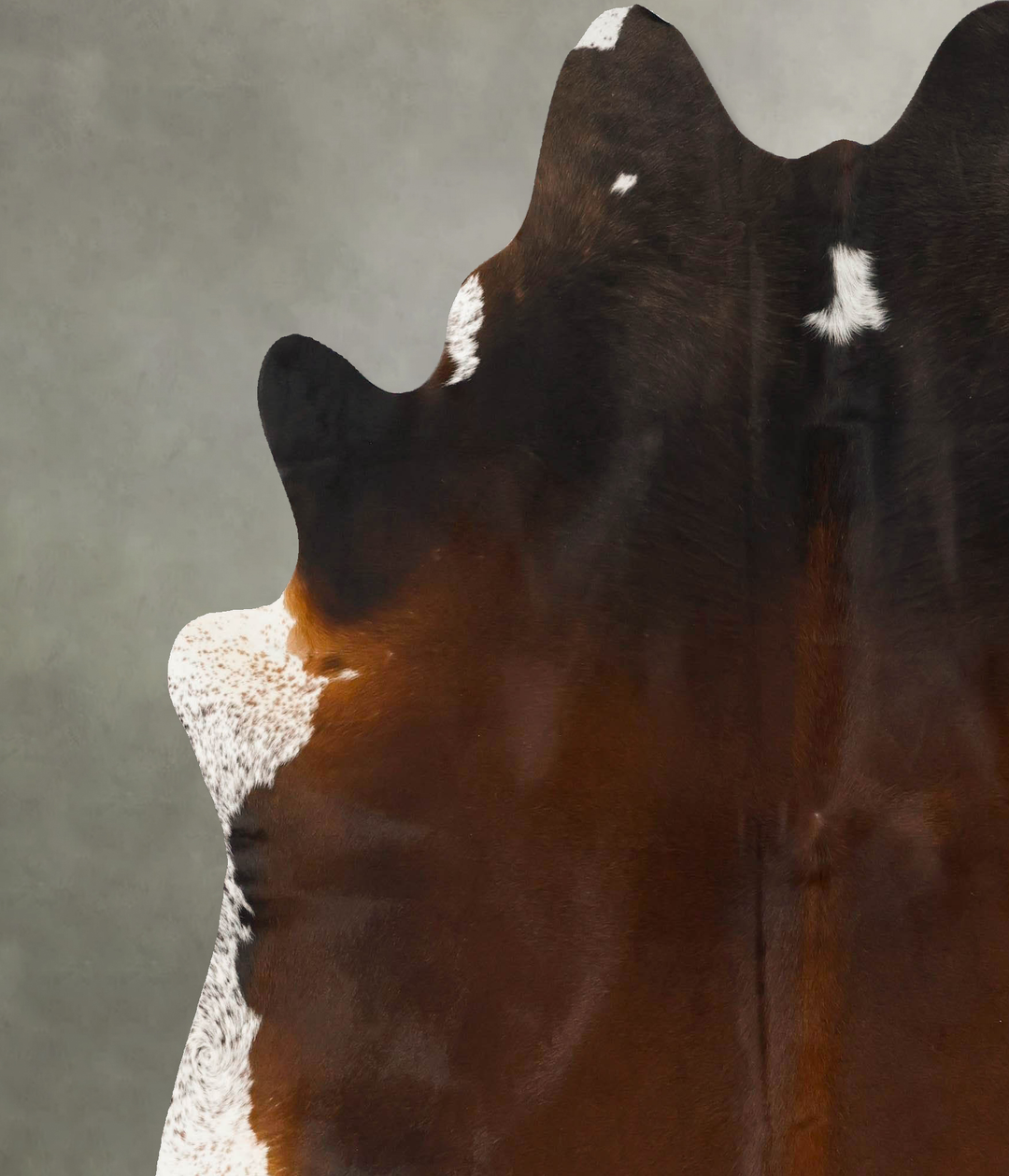 Warm Caramel XX-Large Brazilian Cowhide Rug 7'6"H x 6'8"W #B25694 by H