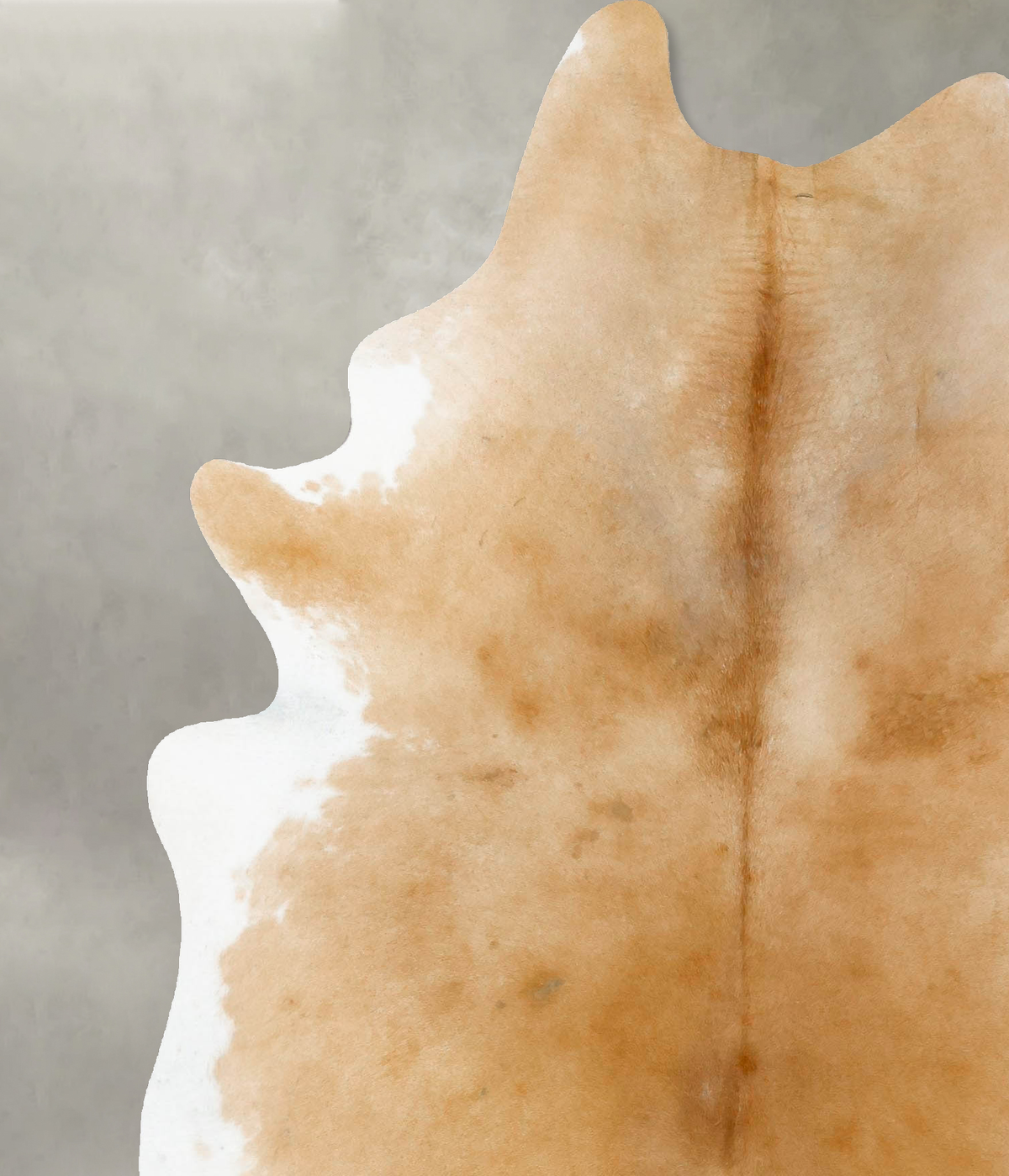 Beige and White X-Large Brazilian Cowhide Rug 7'8"H x 5'10"W #B25712 by Hudson Hides