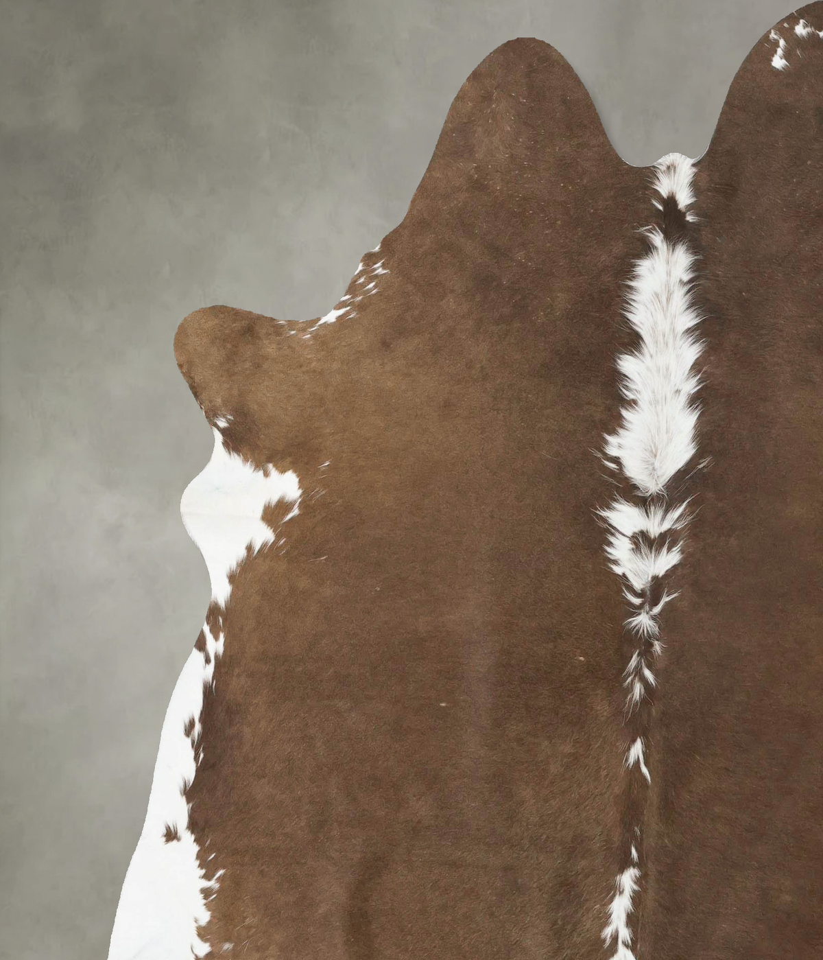 Chocolate and White X-Large Brazilian Cowhide Rug 7'4"H x 6'4"W #B25724 by Hudson Hides