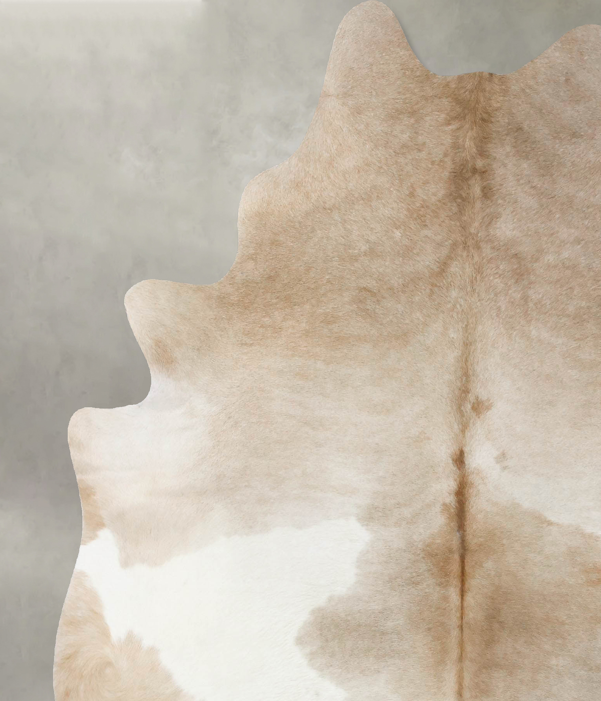Taupe X-Large Brazilian Cowhide Rug 7'4"H x 6'1"W #B25725 by Hudson Hides