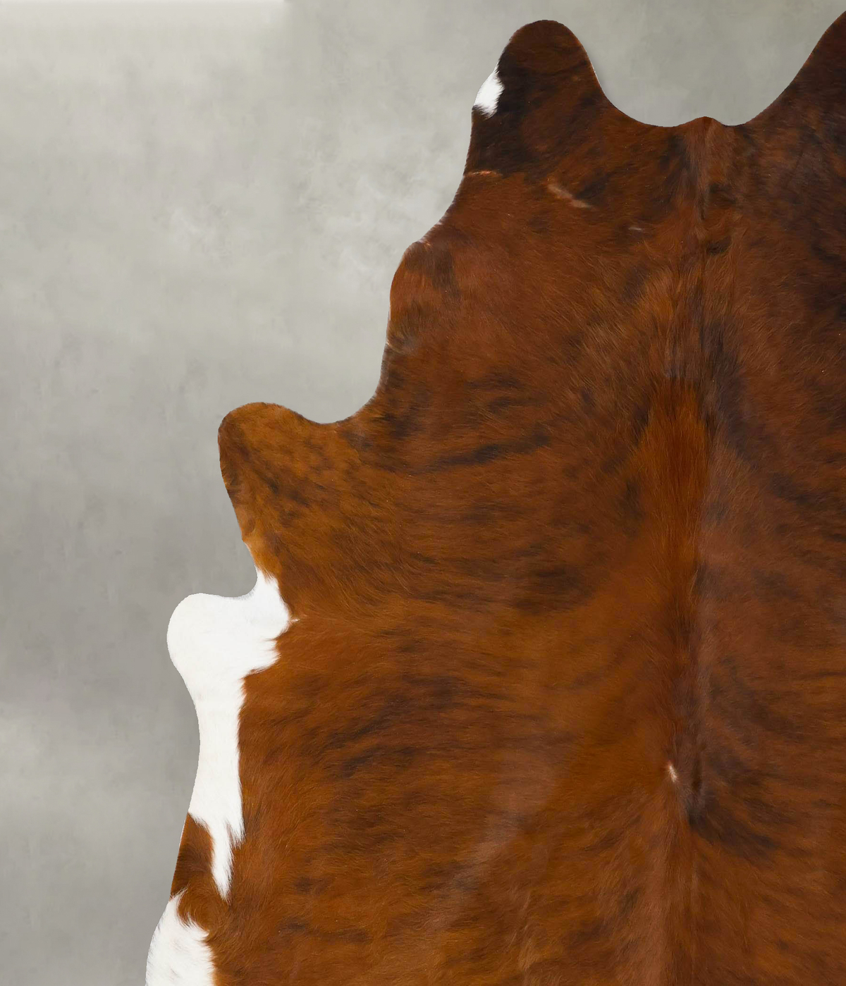 Medium Brindle XX-Large Brazilian Cowhide Rug 7'9"H x 7'0"W #B25730 by Hudson Hides