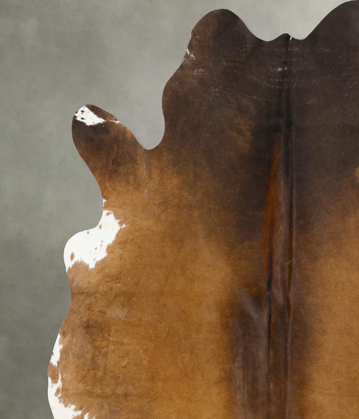 Chocolate and White Large Brazilian Cowhide Rug 6'5"H x 6'0"W #B25738 by Hudson Hides