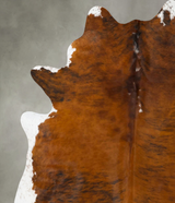 Medium Brindle XX-Large Brazilian Cowhide Rug 8'5"H x 6'11"W #B25748 by Hudson Hides