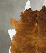 Medium Brindle XX-Large Brazilian Cowhide Rug 7'11"H x 7'2"W #B25749 by Hudson Hides