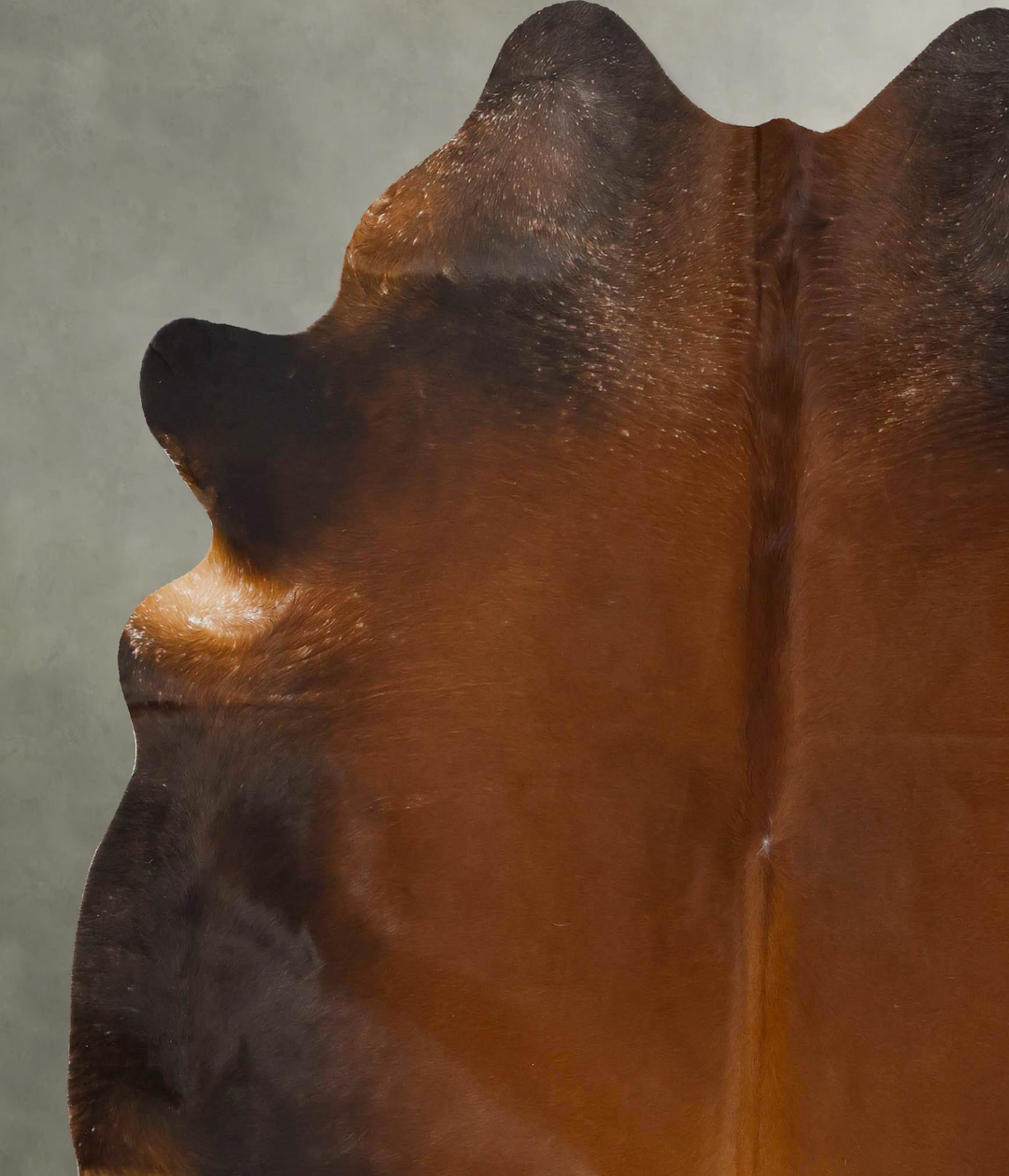 Warm Caramel XX-Large Brazilian Cowhide Rug 7'7"H x 6'9"W #B25762 by H