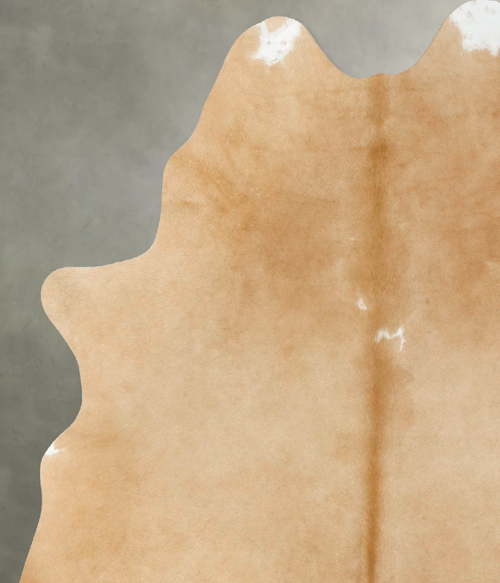 Palomino Large Brazilian Cowhide Rug 6'0"H x 5'2"W #B25763 by Hudson Hides