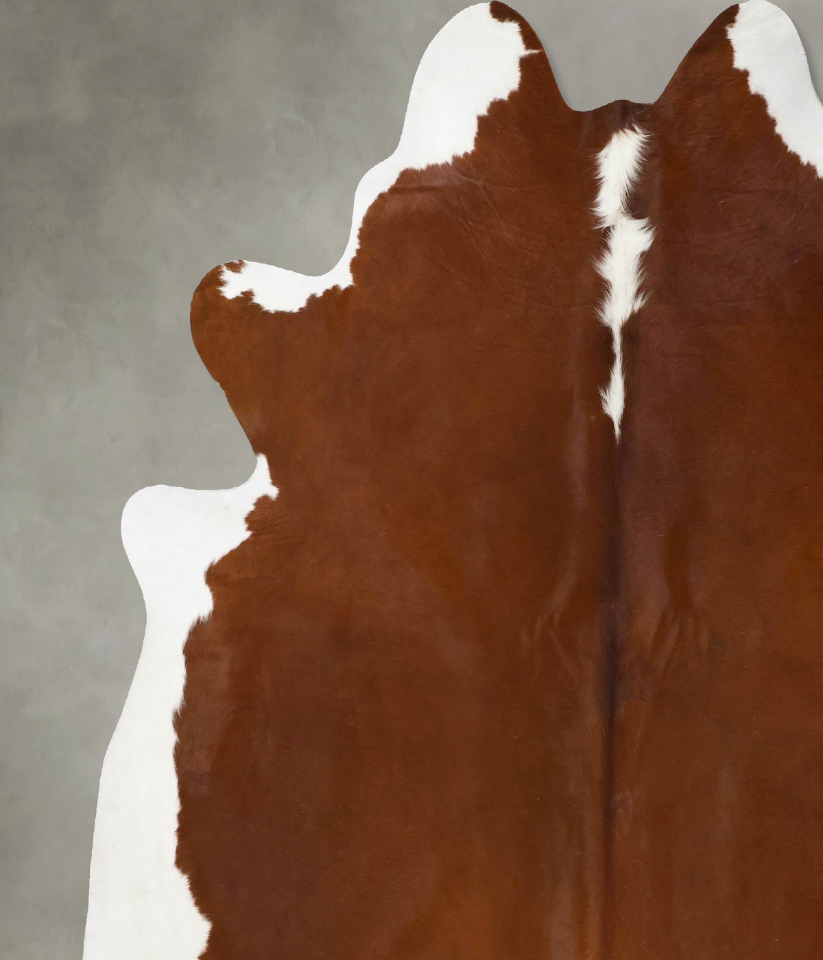 Hereford XX-Large Brazilian Cowhide Rug 8'3"H x 7'6"W #B25780 by Hudson Hides