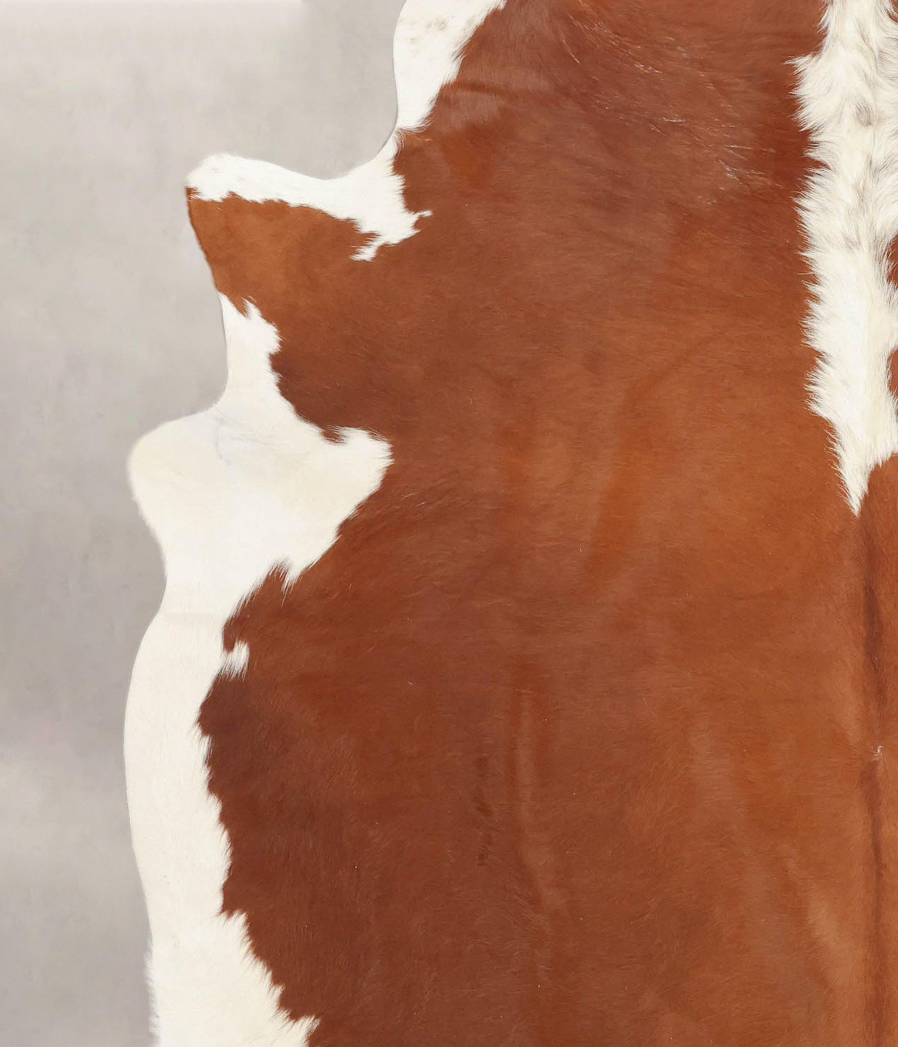 Hereford Cowhide Rug #B2579