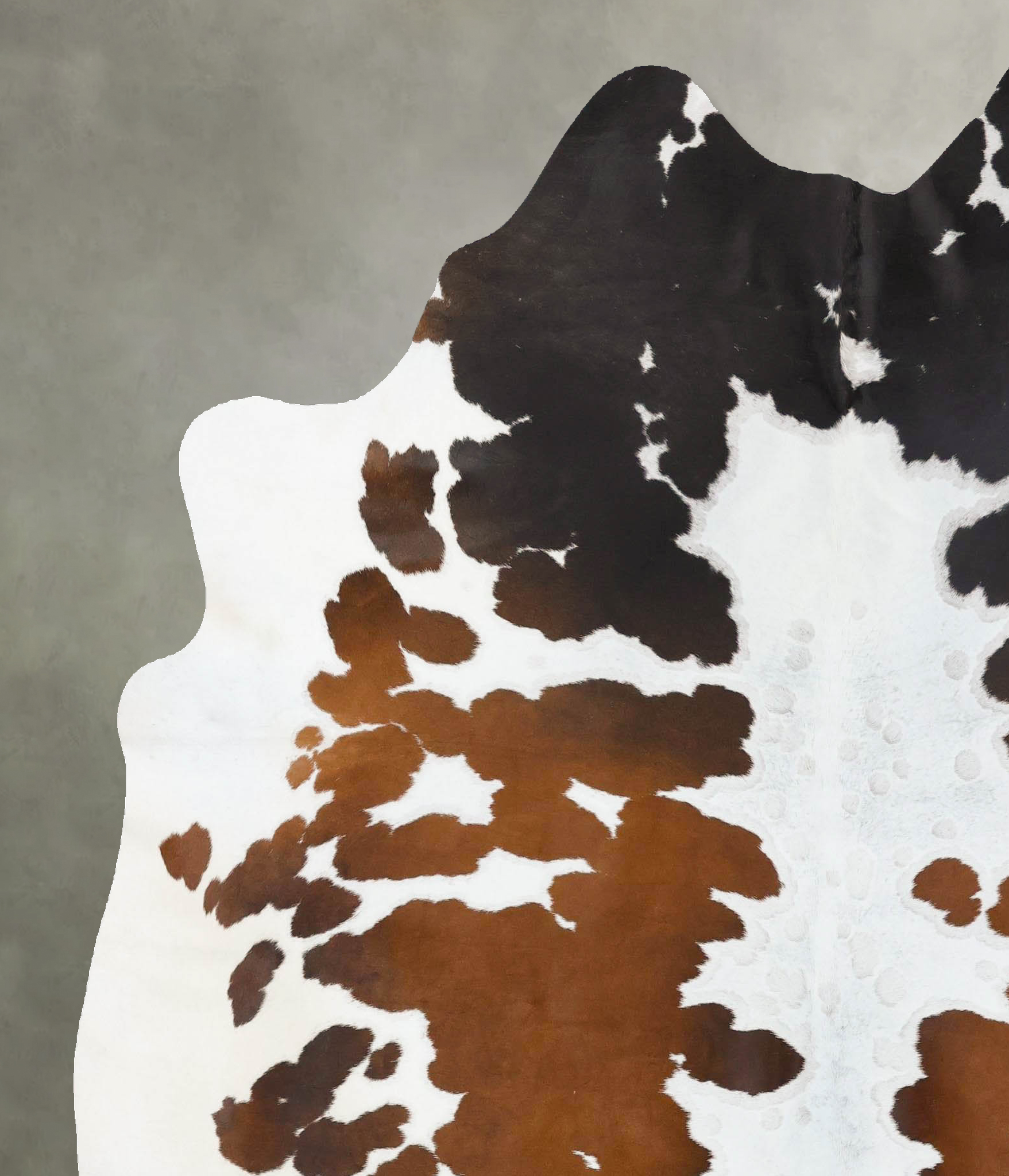Chocolate and White Cowhide Rug #B25800