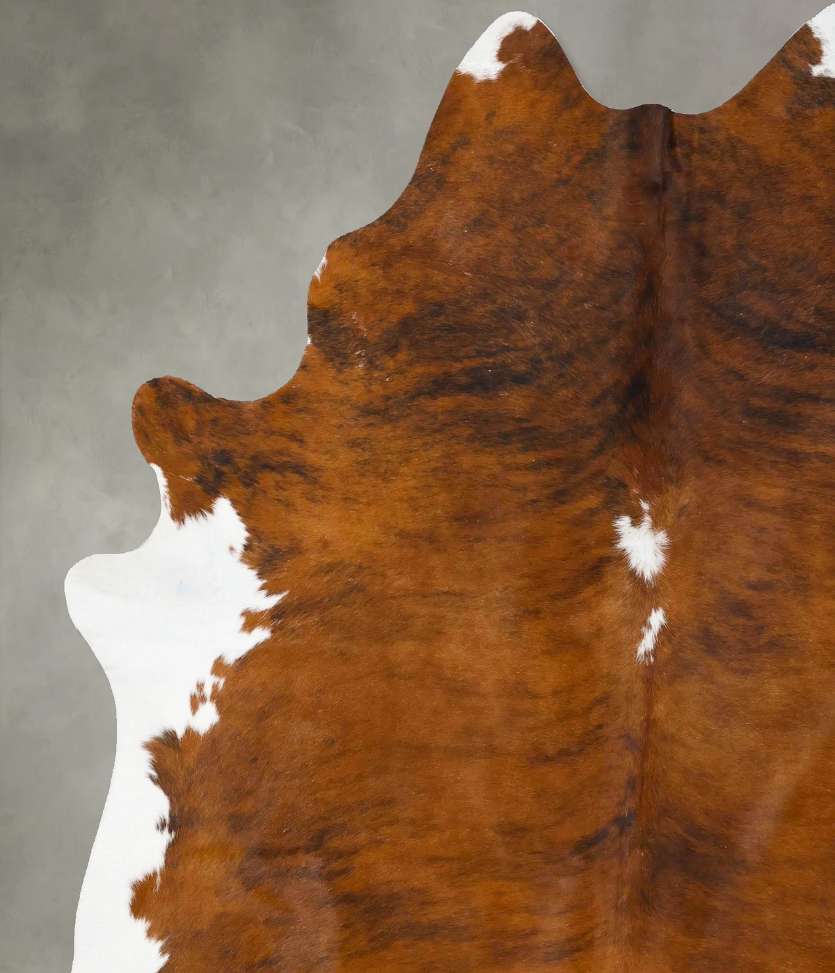 Medium Brindle XX-Large Brazilian Cowhide Rug 8'1"H x 6'5"W #B25814 by Hudson Hides