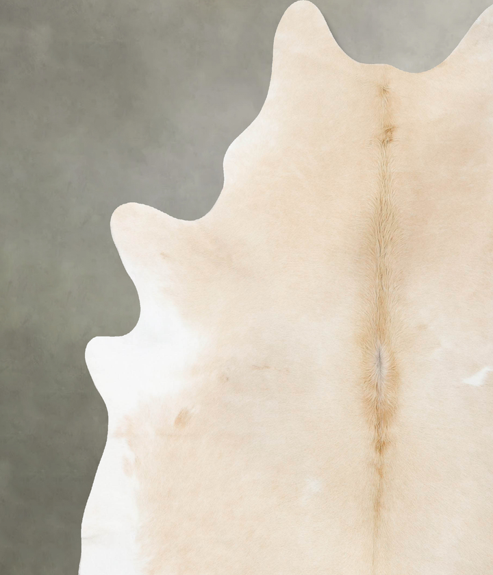 Palomino XX-Large Brazilian Cowhide Rug 8'8"H x 7'2"W #B25821 by Hudson Hides