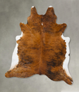 Medium Brindle XX-Large Brazilian Cowhide Rug 8'1"H x 6'11"W #B25829 by Hudson Hides
