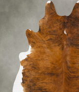 Medium Brindle XX-Large Brazilian Cowhide Rug 8'1"H x 6'11"W #B25829 by Hudson Hides