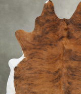 Medium Brindle XX-Large Brazilian Cowhide Rug 8'1"H x 6'10"W #B25833 by Hudson Hides