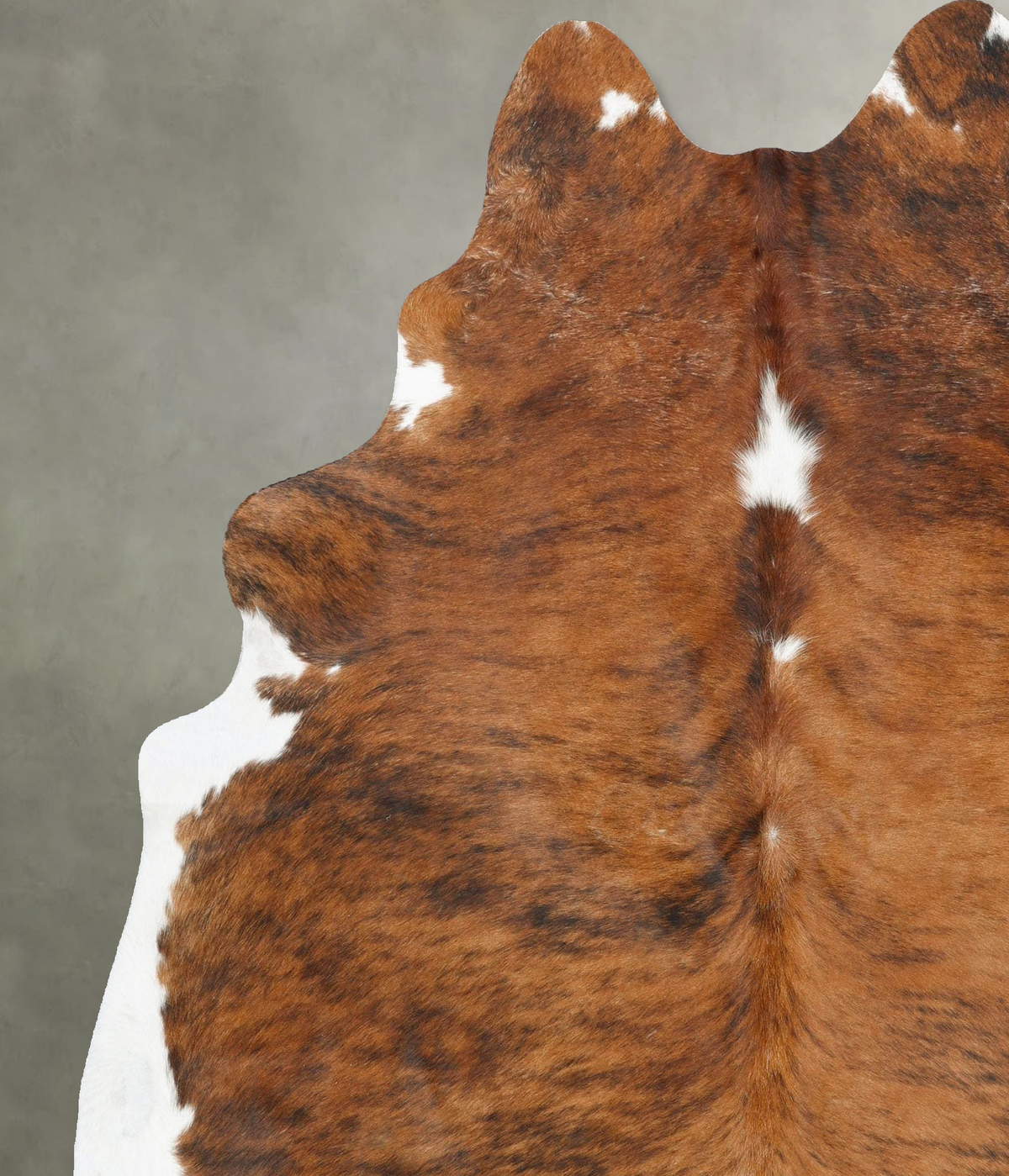 Medium Brindle X-Large Brazilian Cowhide Rug 7'9"H x 6'3"W #B25835 by Hudson Hides