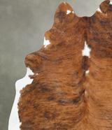 Medium Brindle X-Large Brazilian Cowhide Rug 7'9"H x 6'3"W #B25835 by Hudson Hides