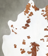 Brown and White Large Brazilian Cowhide Rug 7'0"H x 5'8"W #B25836 by Hudson Hides
