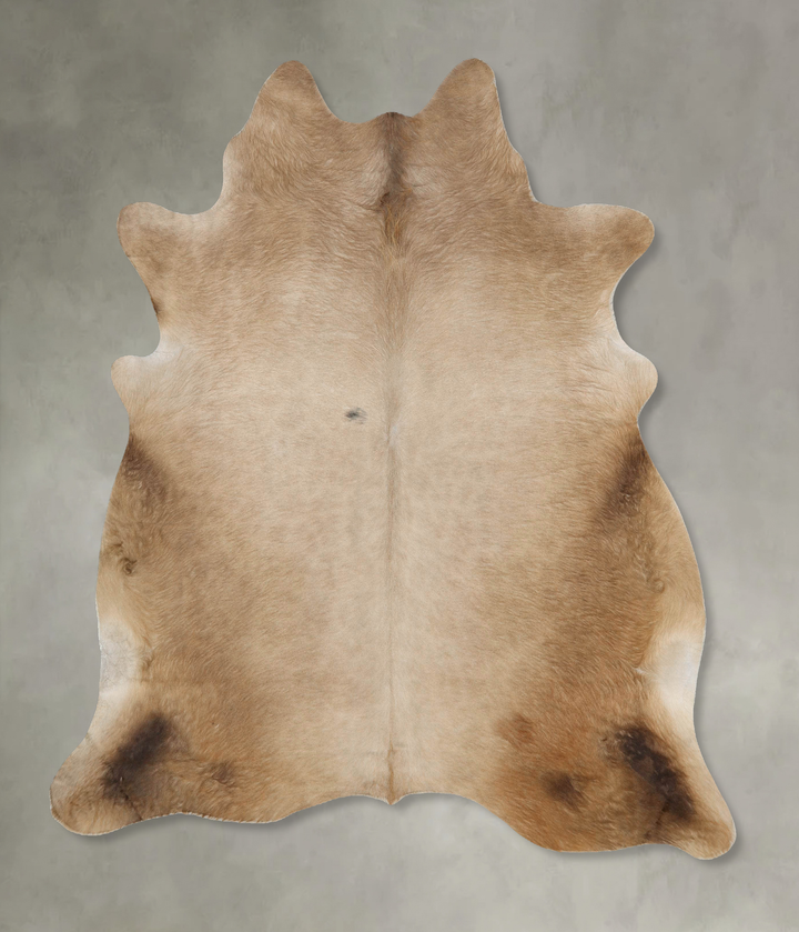 Champagne X-Large Brazilian Cowhide Rug 7'2"H x 6'3"W #B25861 by Hudson Hides