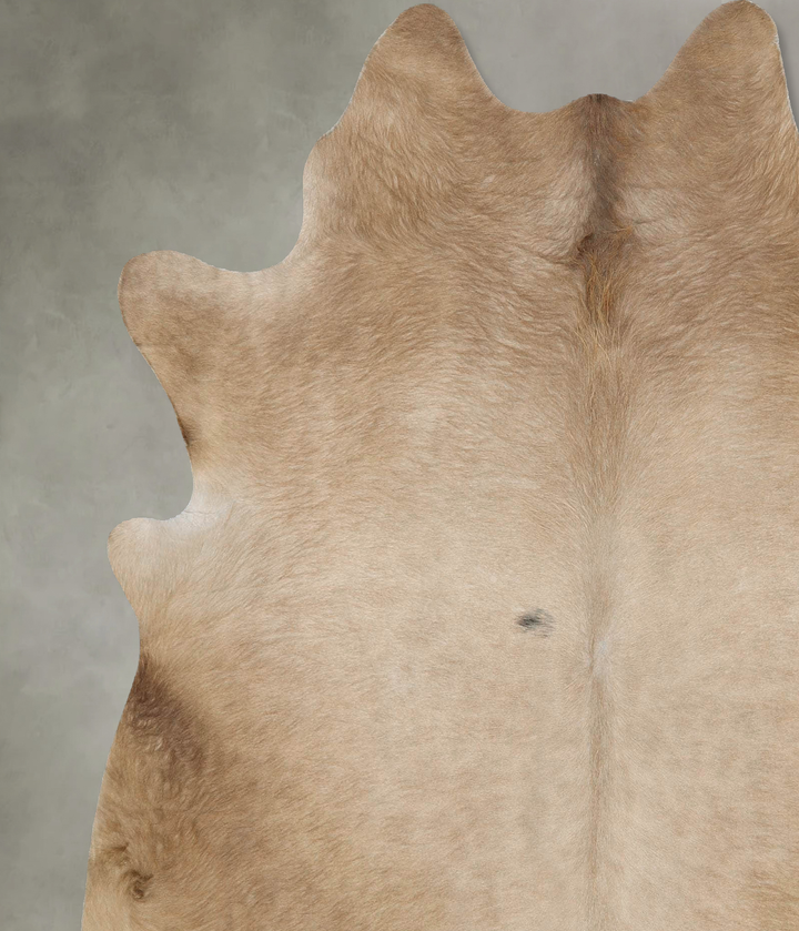 Champagne X-Large Brazilian Cowhide Rug 7'2"H x 6'3"W #B25861 by Hudson Hides