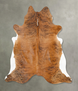 Medium Brindle XX-Large Brazilian Cowhide Rug 7'4"H x 6'11"W #B25868 by Hudson Hides