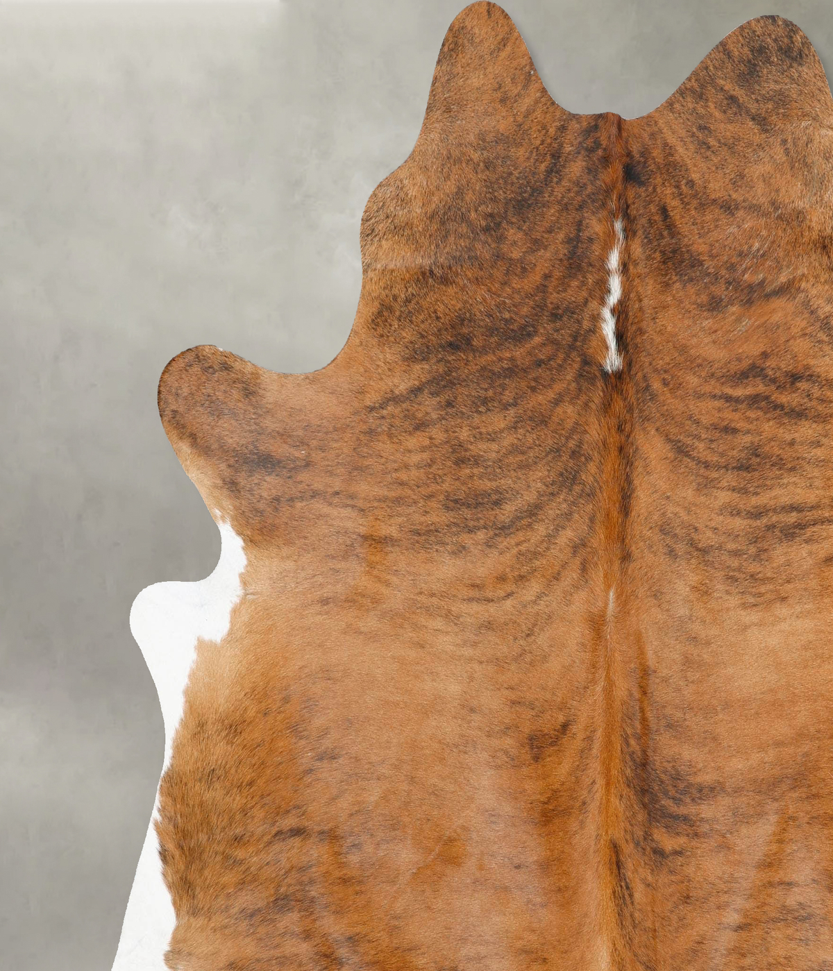 Medium Brindle XX-Large Brazilian Cowhide Rug 7'4"H x 6'11"W #B25868 by Hudson Hides