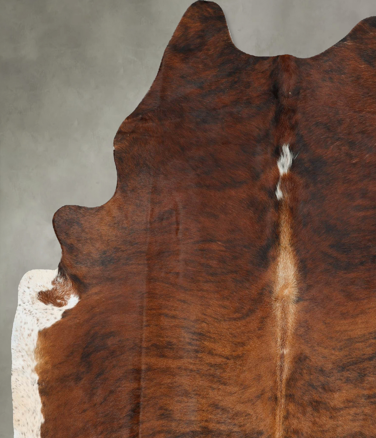Medium Brindle X-Large Brazilian Cowhide Rug 7'7"H x 6'0"W #B25879 by Hudson Hides