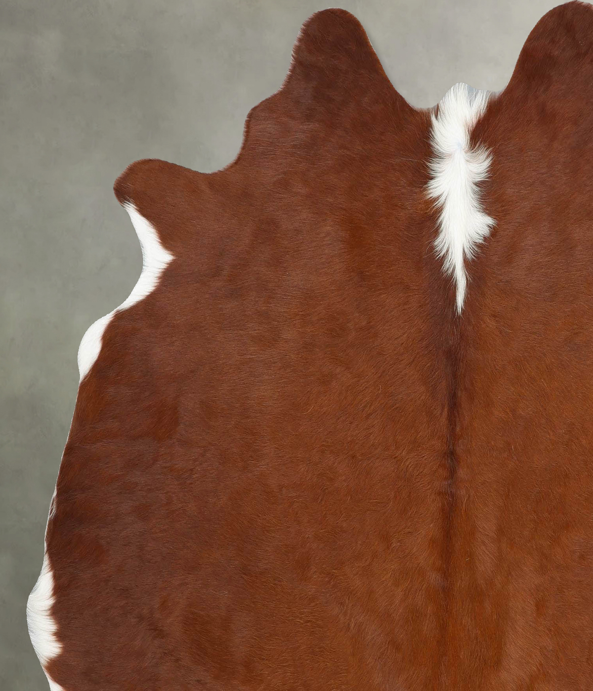 Brown and White Regular Large Brazilian Cowhide Rug 6'5"H x 5'11"W #B25894 by Hudson Hides