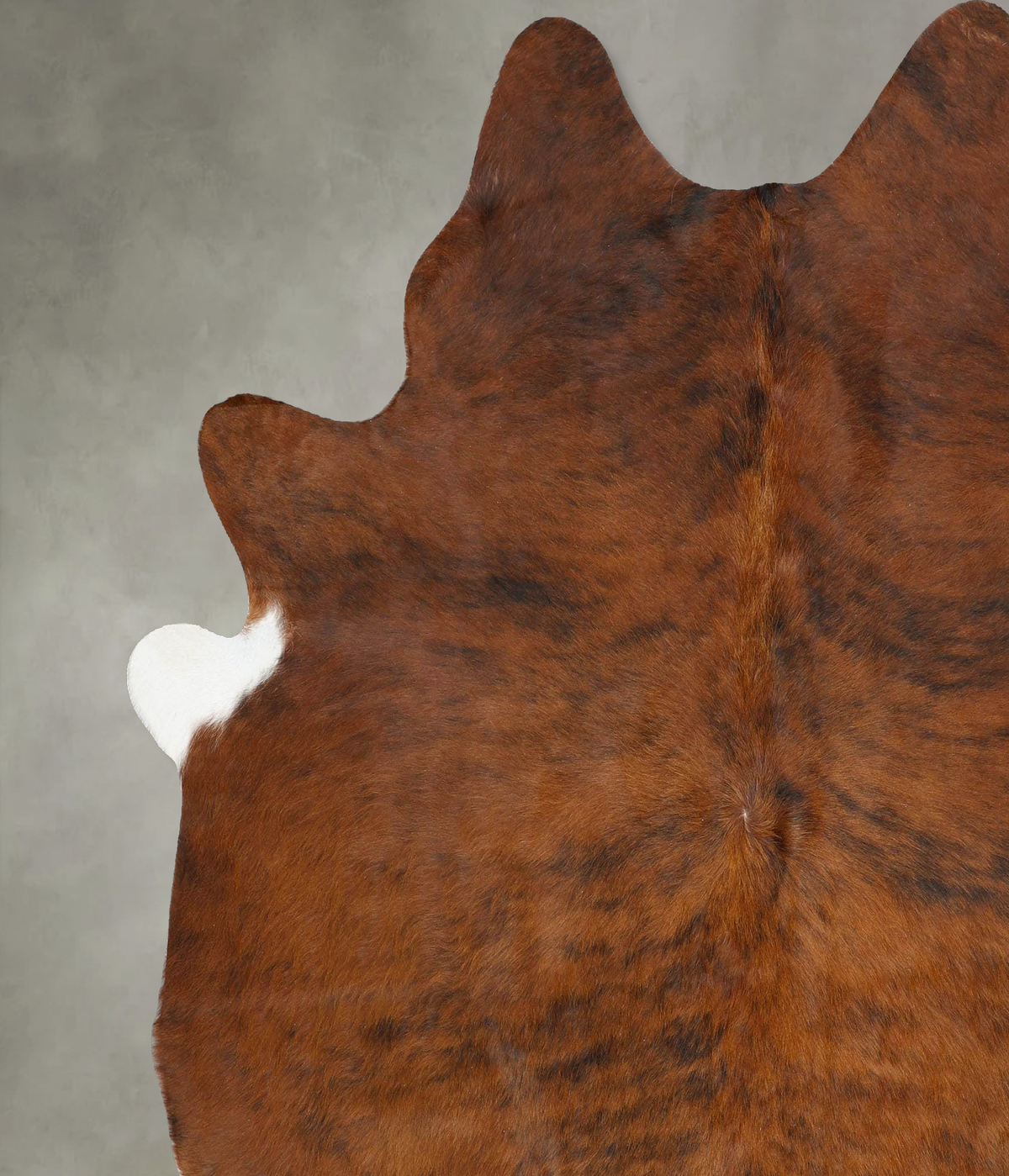 Medium Brindle XX-Large Brazilian Cowhide Rug 7'11"H x 7'1"W #B25901 by Hudson Hides