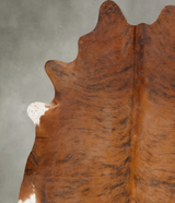 Medium Brindle X-Large Brazilian Cowhide Rug 7'7"H x 6'7"W #B25915 by Hudson Hides