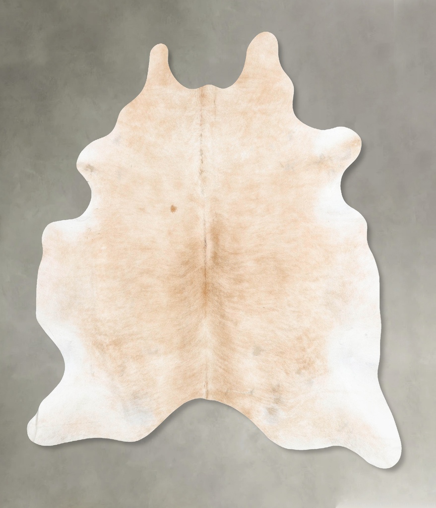 Palomino XX-Large Brazilian Cowhide Rug 8'2"H x 6'2"W #B25923 by Hudson Hides