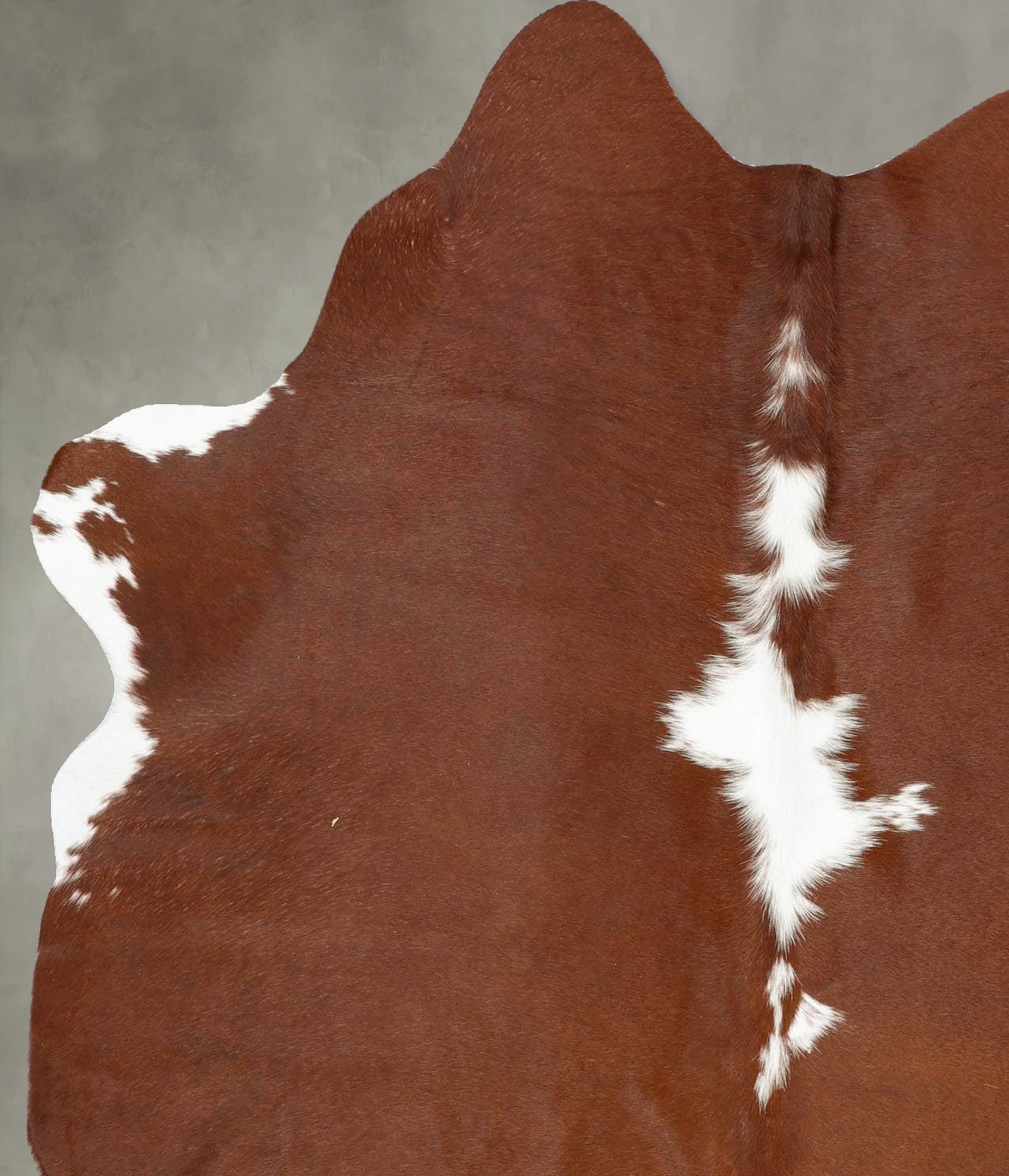 Brown and White Regular Cowhide Rug #B25948