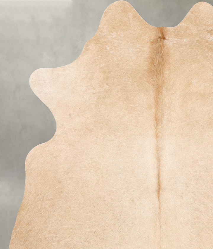 Palomino Large Brazilian Cowhide Rug 6'4"H x 5'4"W #B25952 by Hudson Hides