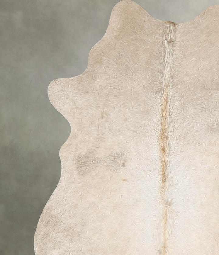 Champagne Large Brazilian Cowhide Rug 6'10"H x 5'9"W #B25957 by Hudson Hides