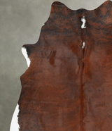 Medium Brindle X-Large Brazilian Cowhide Rug 7'2"H x 6'8"W #B25980 by Hudson Hides