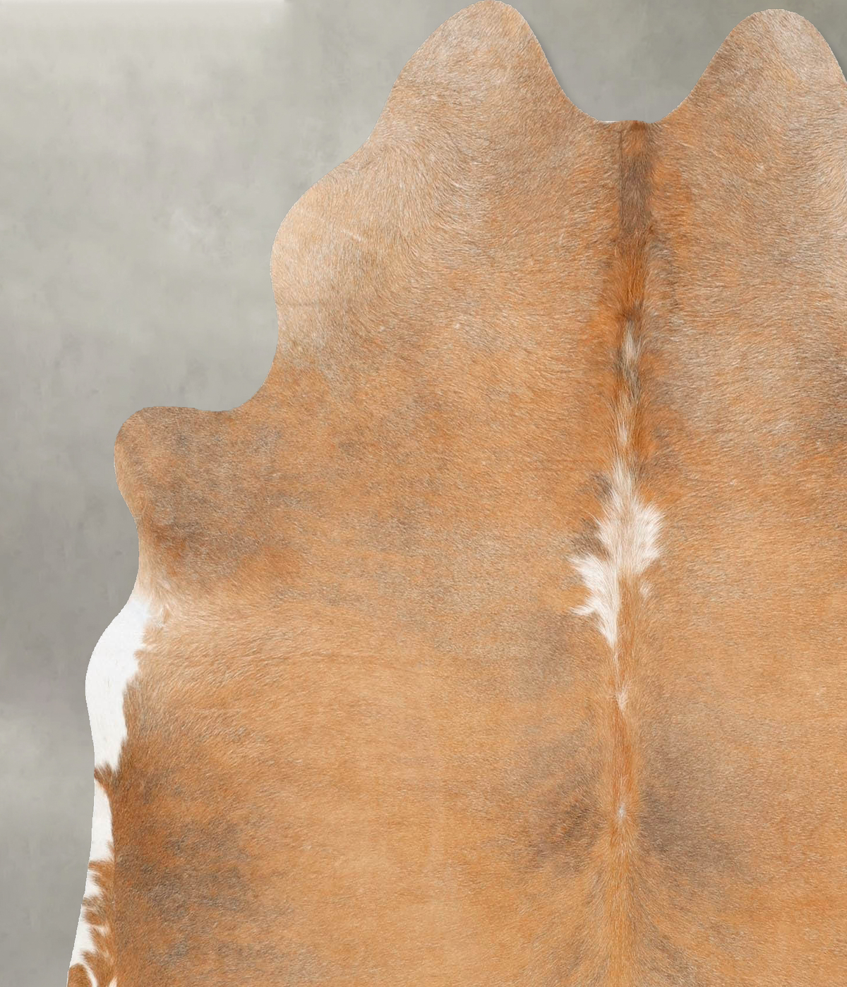Light Caramel Large Brazilian Cowhide Rug 5'11"H x 5'8"W #B26004 by Hudson Hides