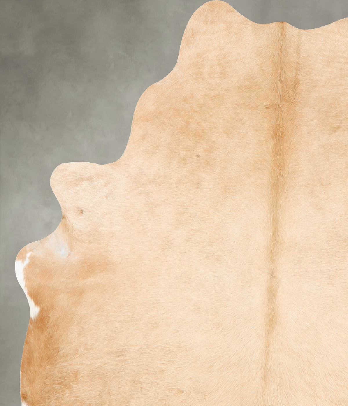 Palomino Large Brazilian Cowhide Rug 6'7"H x 5'7"W #B26045 by Hudson Hides