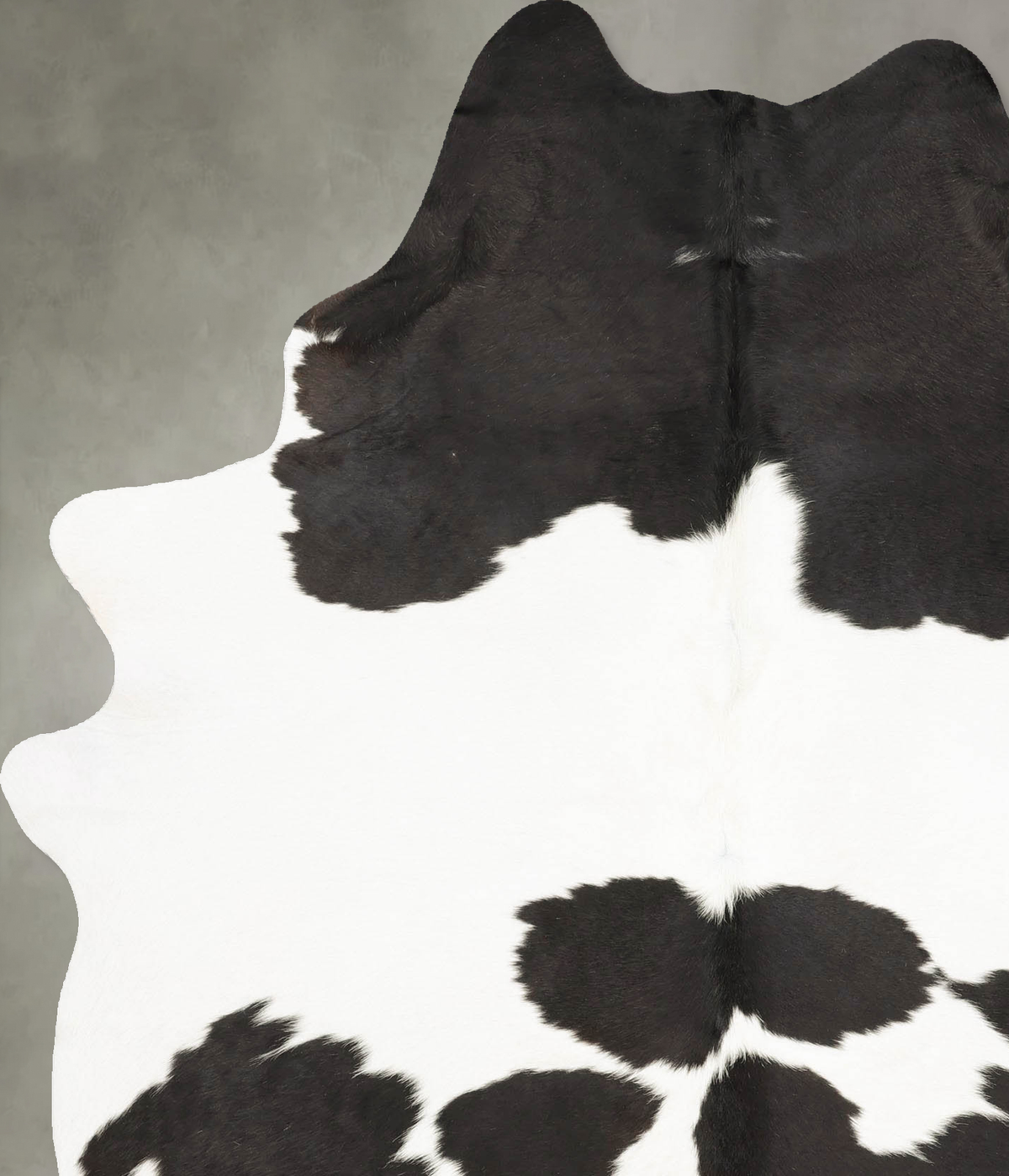 Black and White X-Large Brazilian Cowhide Rug 7'6"H x 5'7"W #B26047 by Hudson Hides