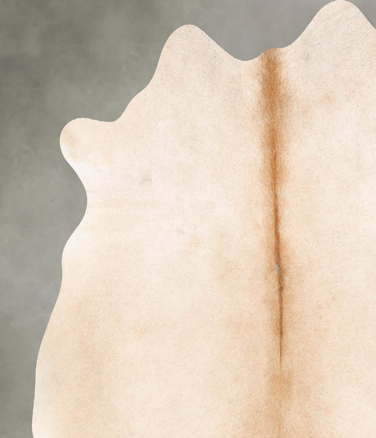 Palomino Large Brazilian Cowhide Rug 6'1"H x 5'7"W #B26051 by Hudson Hides