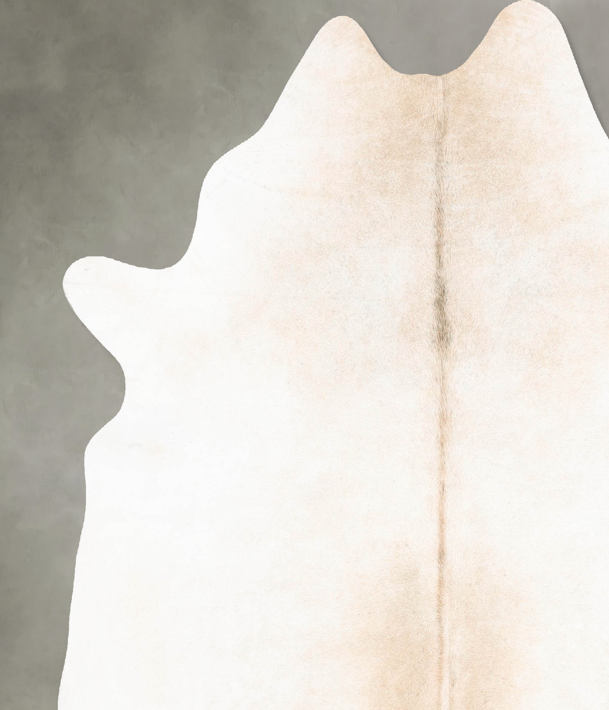 Ivory with Beige Cowhide Rug #B26056