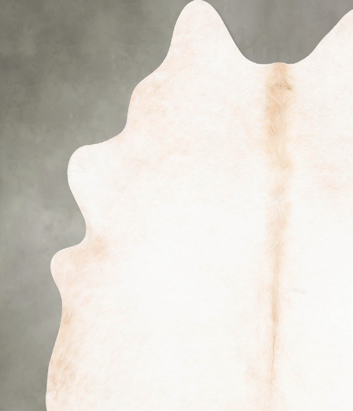 Ivory with Beige Cowhide Rug #B26134