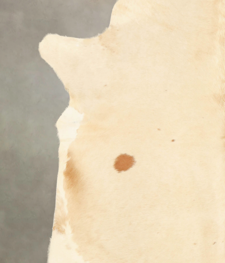 Palomino XX-Large Brazilian Cowhide Rug 7'8"H x 7'3"W #B2616 by Hudson Hides