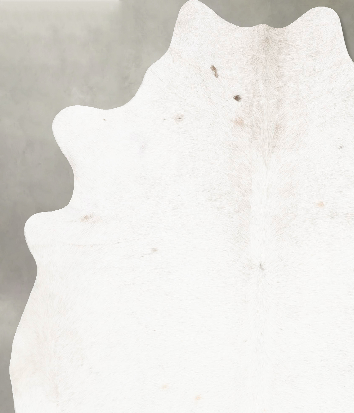 Ivory with Beige X-Large Brazilian Cowhide Rug 7'6"H x 6'7"W #B26178 by Hudson Hides