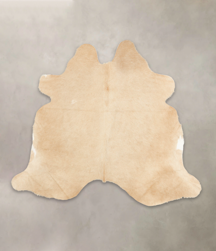 Palomino X-Large Brazilian Cowhide Rug 6'4"H x 7'1"W #B2624 by Hudson Hides