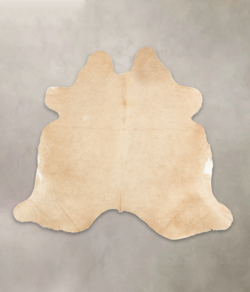 Palomino X-Large Brazilian Cowhide Rug 6'4"H x 7'1"W #B2624 by Hudson Hides
